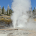 US160925 049 Yellowstone NP, WY