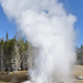 US160925 069 Yellowstone NP, WY