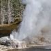 US160925 079 Yellowstone NP, WY