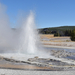 US160925 113 Yellowstone NP, WY