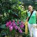 Singapore day3 Botanic garden64 Orchidea kert