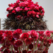 46%20Bouquets%20to%20Art%202013-X3