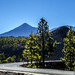 road to Teide