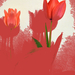 Manipulált tulipánok
