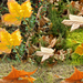 Őszi levelek - kollázs