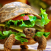 cheese turtle burger by k23-wallpaper-1920x1080