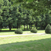 Magyarország, Mór, a Lamberg kastély parkja, SzG3