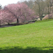 Kassel, park a Kis-Fulda mentén, SzG3