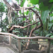 Zlín, Lesná, az állatkert, a Yucatan-ház, SzG3
