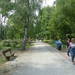 Magyarország, Kám, a Jeli Arborétum (Varázskert), SzG3