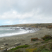 DSCN3569-elephant seal