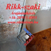 beázás utáni kőműves javítási kis munka Rikk-szaki 06-20-915-889
