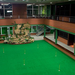 indoor-golf-court