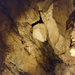 pálvölgyi barlang 10