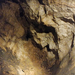 pálvölgyi barlang 11