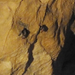 pálvölgyi barlang 16-denevérek