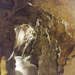 pálvölgyi barlang 19