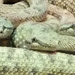 ák-kígyófejek