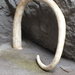 bp-állatkert- varázshegy mamutagyar