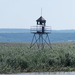 Fertő-tó - haatár-őrtorony