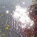 Tardos - tó ellenfény-csillog