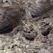 Szilvásvárad - ősemberbarlang fal1