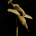 Hinterbrühl - barlang-repülőmodell