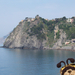 Maci-corniglia