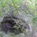 1020 Tatabánya Szelim barlang