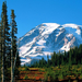 Mount Rainier, Mount Rainier National Park, Washington