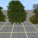 Tree test DXT5 semitransparent