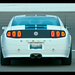 2011-Shelby-Mustang-GT-350-Rear-1024x768