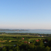 Balaton