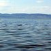 Balaton 4 (Small)