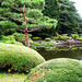 japanese garden