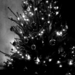 fekete karácsonyfa