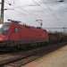 1116 006 Dombóvár (2015.04.17).