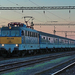 431 008 Rétszilas (2017.06.15)02