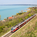 415 004 Balatonviágos (2021.04.24)02