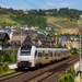 460 016 Oberwesel (2023.06.12).