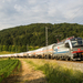 193 107 Breitenfurt (2023.06.16).