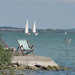 balaton