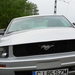 Ford Mustang 019