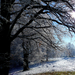 09 Novemberi tél a Medvesen