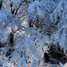 10 Novemberi tél a Medvesen