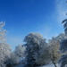 15 Novemberi tél a Medvesen
