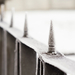 kerítés télen