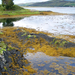 Loch Alsh (Eilean Donan Castle)