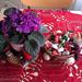 életképek, Karácsonyi asztal Lettikééknél