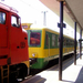 M61-006+BALATON-050526 (5)